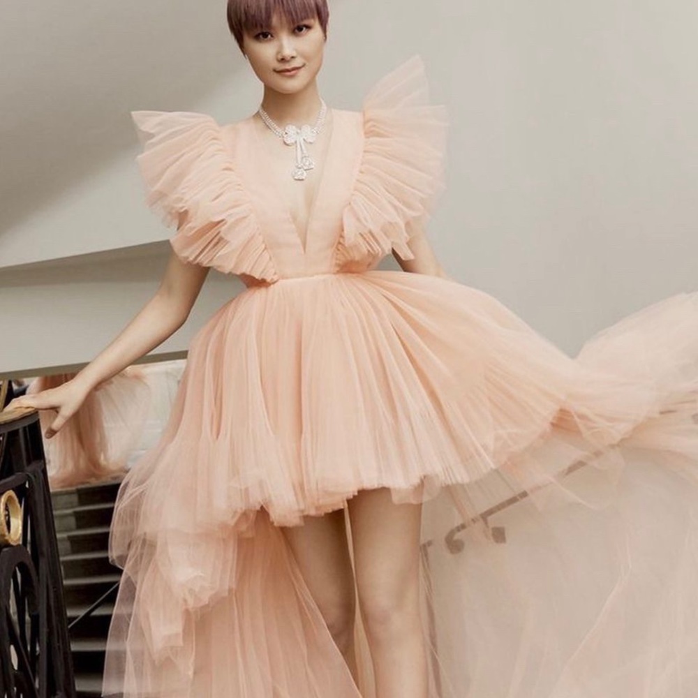 Giambattista Valli x HM tulle dress US 2 NWT